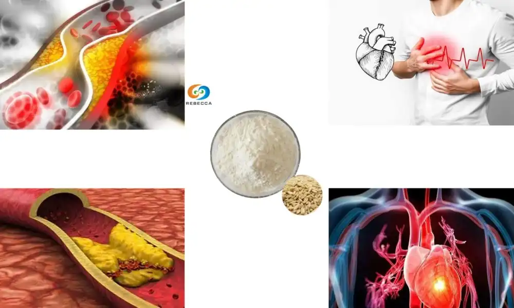 How Pure Oat Beta Glucan Powder Helps Lower Cholesterol?